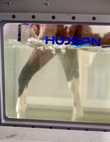 MP Equine Sports Medicine