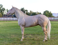 FWL-8