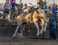 RMPRA-Genola-2024-JMrazPhotography-BarebackRiding-20
