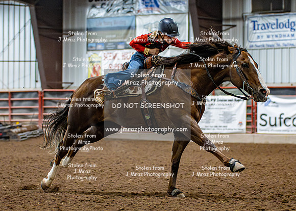 Dog&PonyShow-JMrazPhotography-1610