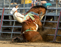TooeleCountyRodeo-JMrazPhotography-BroncRiding-11