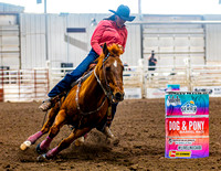 SatDog&PonyShow-May-JMrazPhotography-751