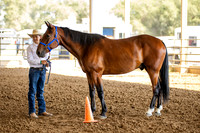 SLC4H-JMrazPhotography-1