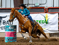 Dog&PonyShow-SaturdayAwards-860