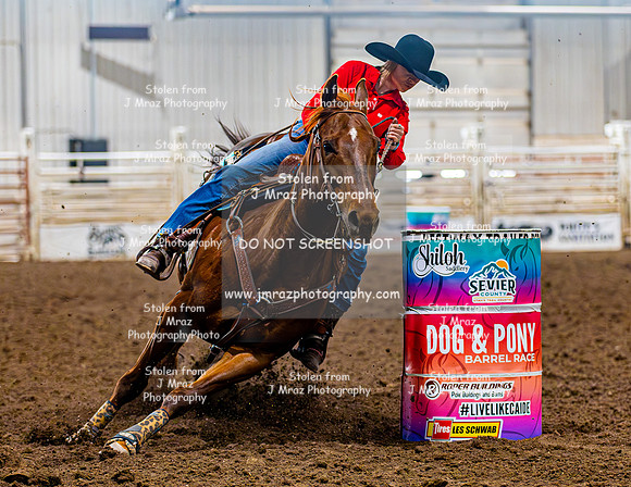 SatDog&PonyShow-May-JMrazPhotography-770