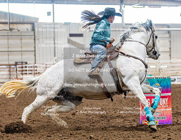 SatDog&PonyShow-May-JMrazPhotography-338