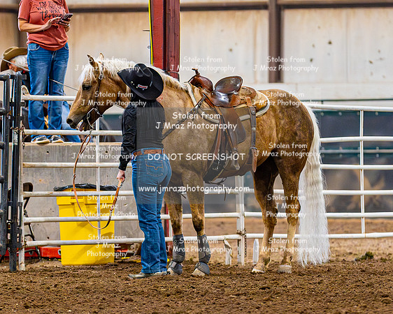SatDog&PonyShow-May-JMrazPhotography-913
