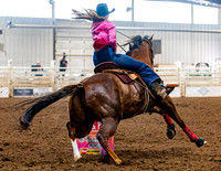 SatDog&PonyShow-May-JMrazPhotography-841