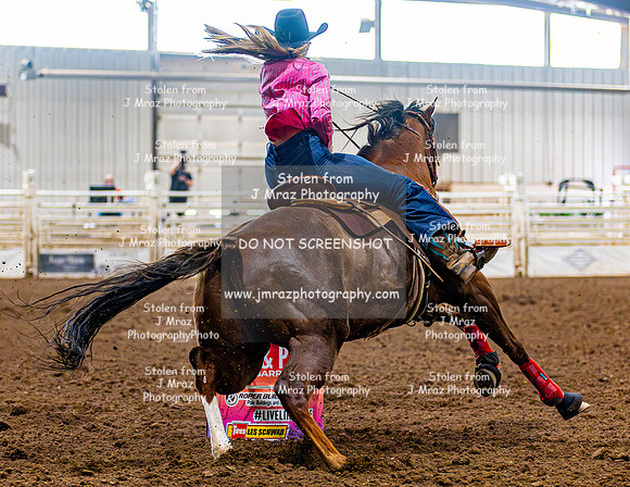 SatDog&PonyShow-May-JMrazPhotography-841