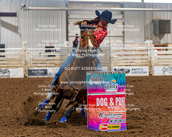 SatDog&PonyShow-May-JMrazPhotography-1530
