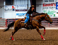 SatDog&PonyShow-May-JMrazPhotography-661