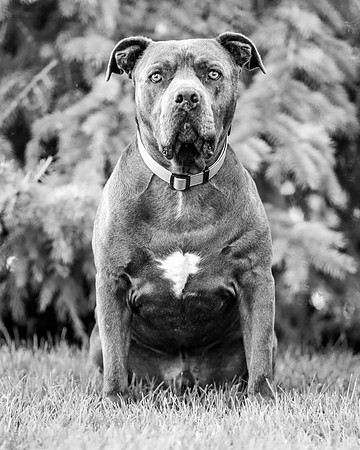 KFZeus2024-JMrazPhotography-13