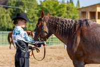 SLC4H-JMrazPhotography-1