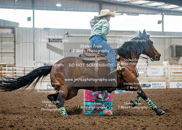 Dog&PonyShow-SaturdayAwards-600