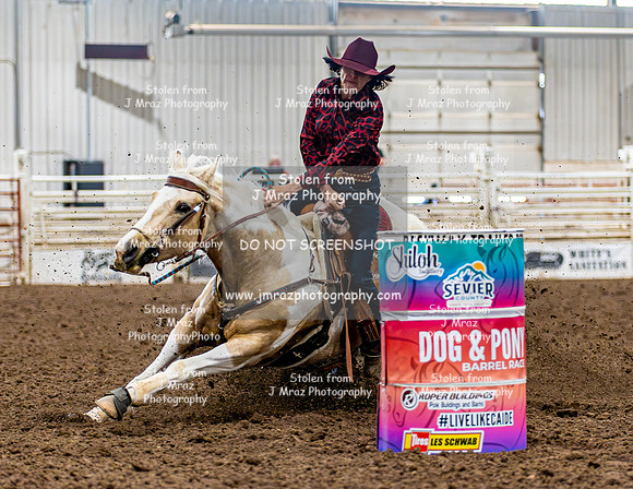 SatDog&PonyShow-May-JMrazPhotography-158