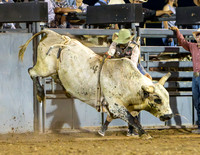 TooeleCountyRodeo-JMrazPhotography2024-BullRiding-6