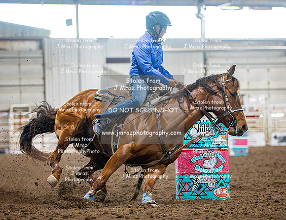 Dog&PonyShow-SaturdayAwards-981