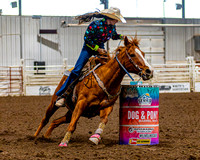 SatDog&PonyShow-May-JMrazPhotography-1942