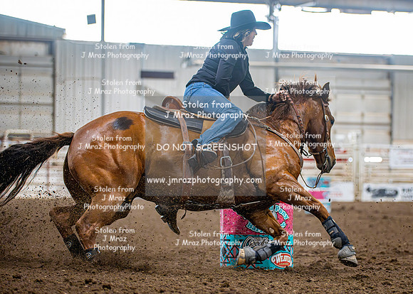Dog&PonyShow-SaturdayAwards-941