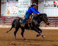 SatDog&PonyShow-May-JMrazPhotography-1077