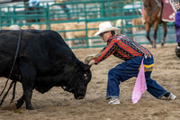 Bull Riding