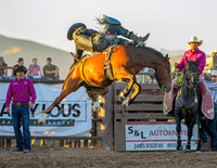 Bareback Bronc