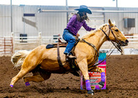 SatDog&PonyShow-May-JMrazPhotography-614