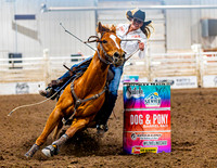 SatDog&PonyShow-May-JMrazPhotography-863