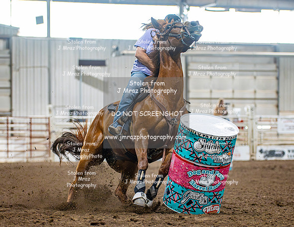 Dog&PonyShow-JMrazPhotography-1505