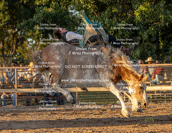 RMPRA-Genola-2024-JMrazPhotography-BarebackRiding-31
