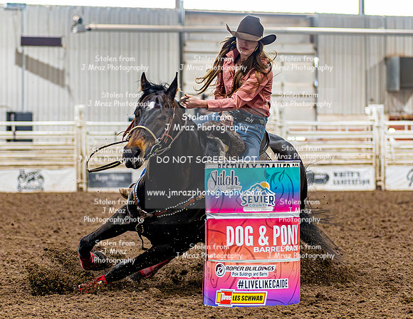 SatDog&PonyShow-May-JMrazPhotography-136