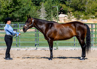 SLC4H-JMrazPhotography-9