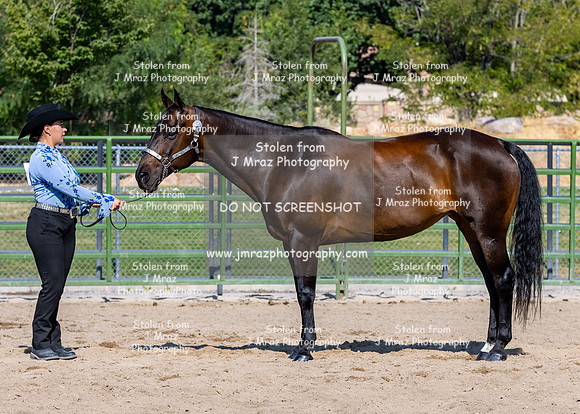 SLC4H-JMrazPhotography-9