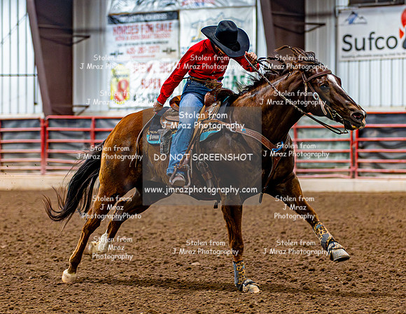 SatDog&PonyShow-May-JMrazPhotography-483