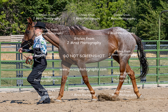 SLC4H-JMrazPhotography-3