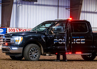 PD-3