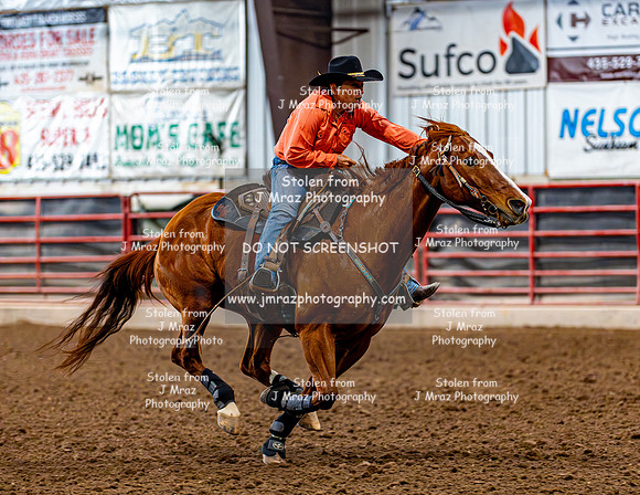 SatDog&PonyShow-May-JMrazPhotography-607