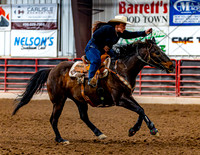 SatDog&PonyShow-May-JMrazPhotography-580