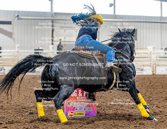 SatDog&PonyShow-May-JMrazPhotography-320