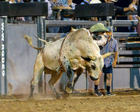TooeleCountyRodeo-JMrazPhotography2024-BullRiding-5