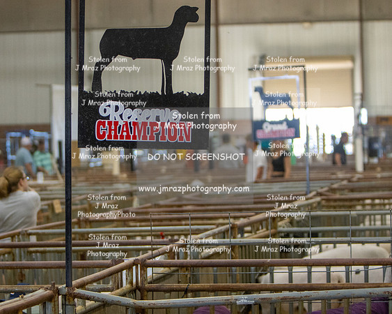 TooeleCountyFair-JMrazPhotography-2024-64