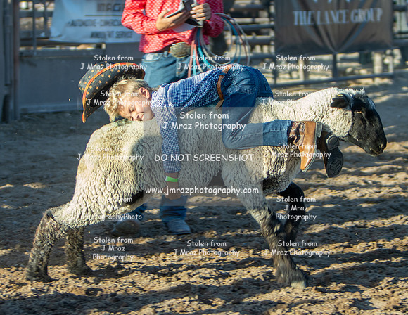 RMPRA-Genola-2024-JMrazPhotography-MuttonBusting-43