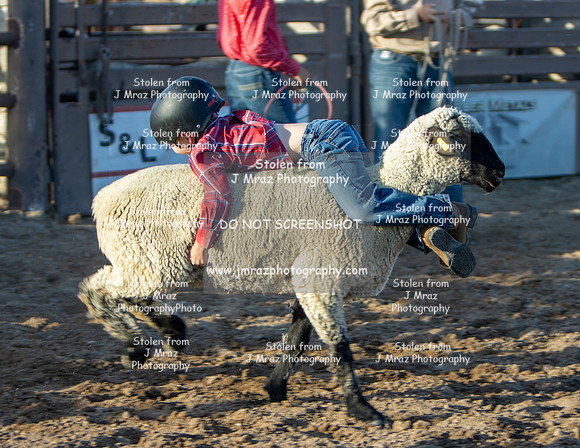 RMPRA-Genola-2024-JMrazPhotography-MuttonBusting-31