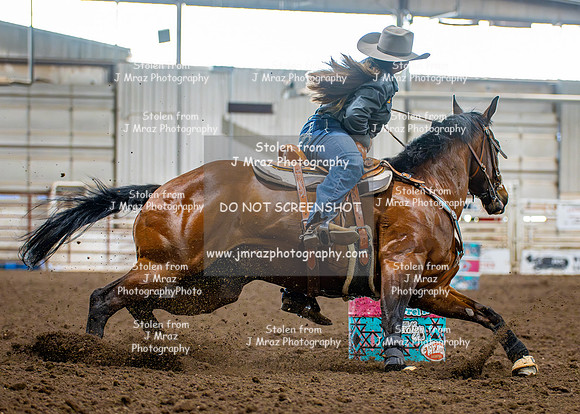 Dog&PonyShow-SaturdayAwards-461