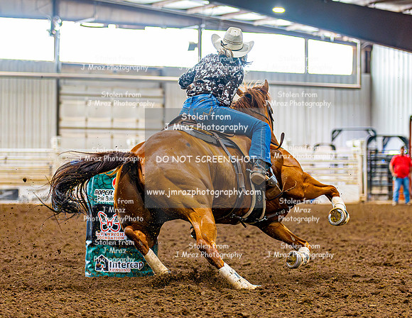 LWrightMemorial-Sun-Open-JMrazPhotography-768