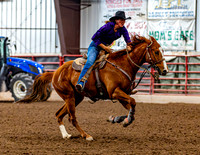 SatDog&PonyShow-May-JMrazPhotography-612