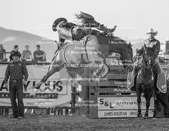 RMPRA-Genola-2024-JMrazPhotography-BarebackBronc-2