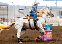 SatDog&PonyShow-May-JMrazPhotography-918