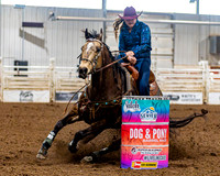 SatDog&PonyShow-May-JMrazPhotography-1239