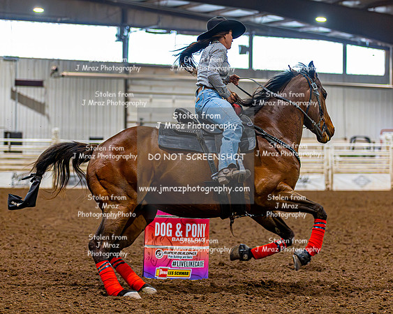 SatDog&PonyShow-May-JMrazPhotography-1932